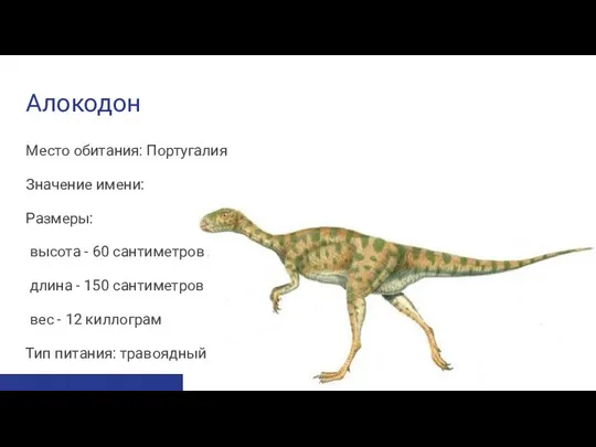 Алокодон Место обитания: Португалия Значение имени: Размеры: высота - 60 сантиметров