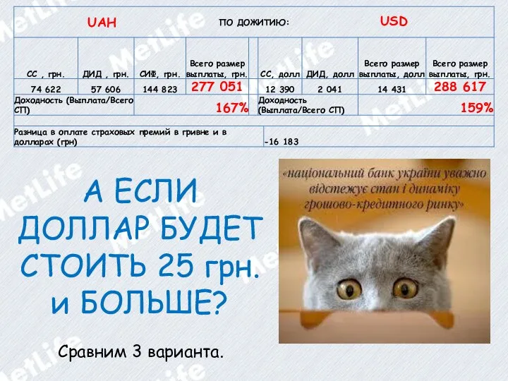 UAH USD А ЕСЛИ ДОЛЛАР БУДЕТ СТОИТЬ 25 грн. и БОЛЬШЕ? Сравним 3 варианта.