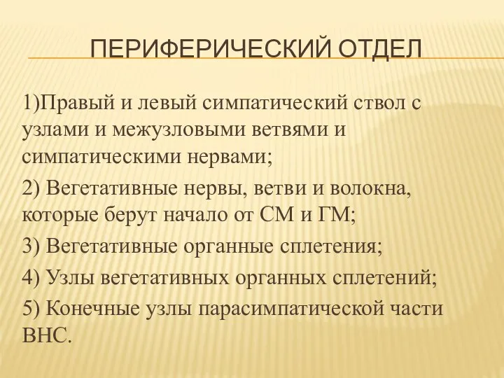 ПЕРИФЕРИЧЕСКИЙ ОТДЕЛ 1)Правый и левый симпатический ствол с узлами и межузловыми