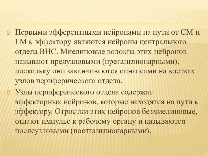 Первыми эфферентными нейронами на пути от СМ и ГМ к эффектору