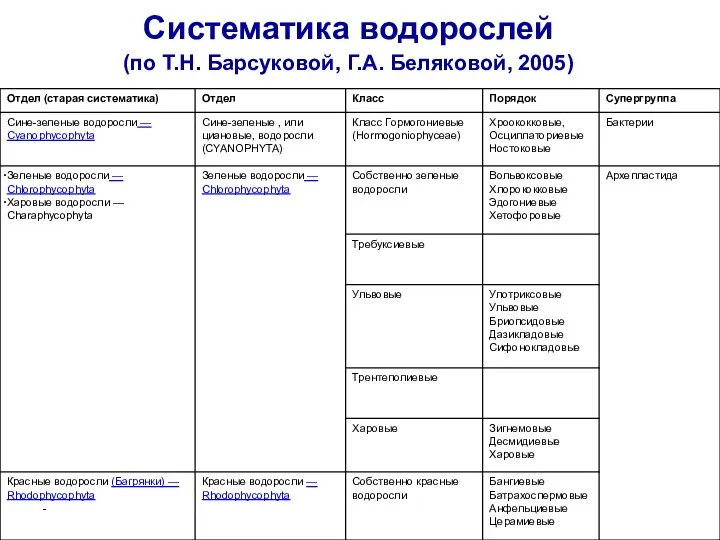 Систематика водорослей (по Т.Н. Барсуковой, Г.А. Беляковой, 2005)