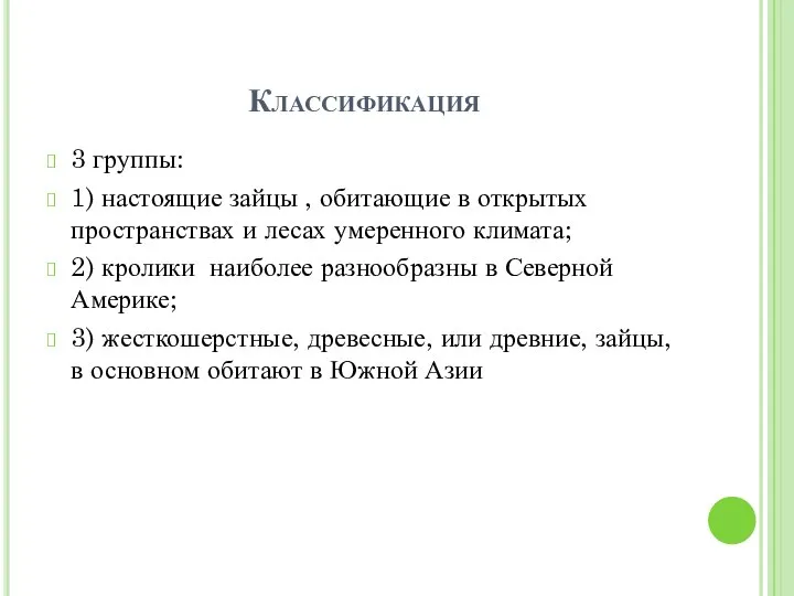 Классификация 3 группы: 1) настоящие зайцы , обитающие в открытых пространствах