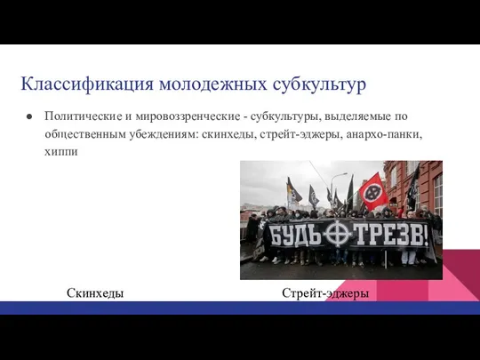 Классификация молодежных субкультур Политические и мировоззренческие - субкультуры, выделяемые по общественным