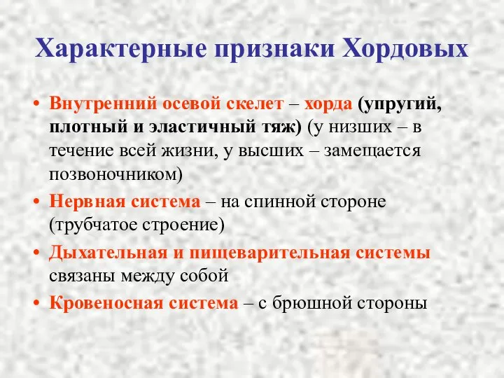 Характерные признаки Хордовых Внутренний осевой скелет – хорда (упругий, плотный и