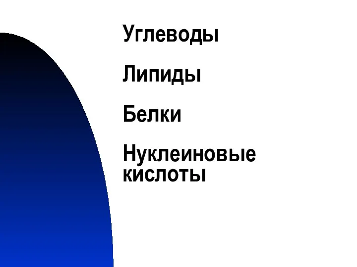 Углеводы Липиды Белки Нуклеиновые кислоты