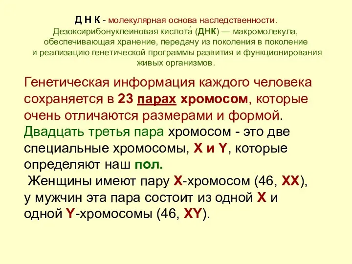 Д Н К - молекулярная основа наследственности. Дезоксирибонуклеиновая кислота́ (ДНК) —