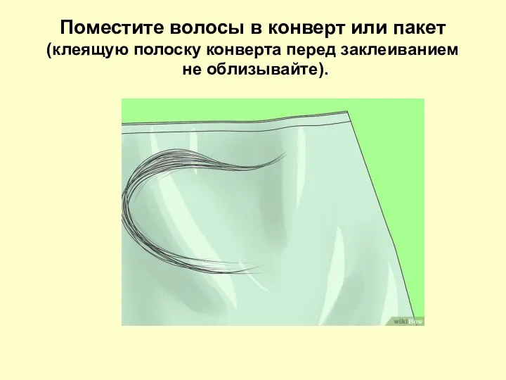 Поместите волосы в конверт или пакет (клеящую полоску конверта перед заклеиванием не облизывайте).