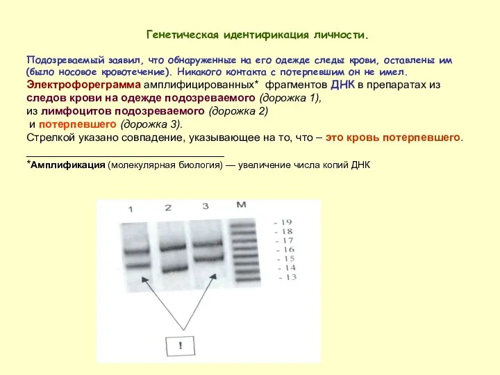 Генетическая идентификация личности. Подозреваемый заявил, что обнаруженные на его одежде следы