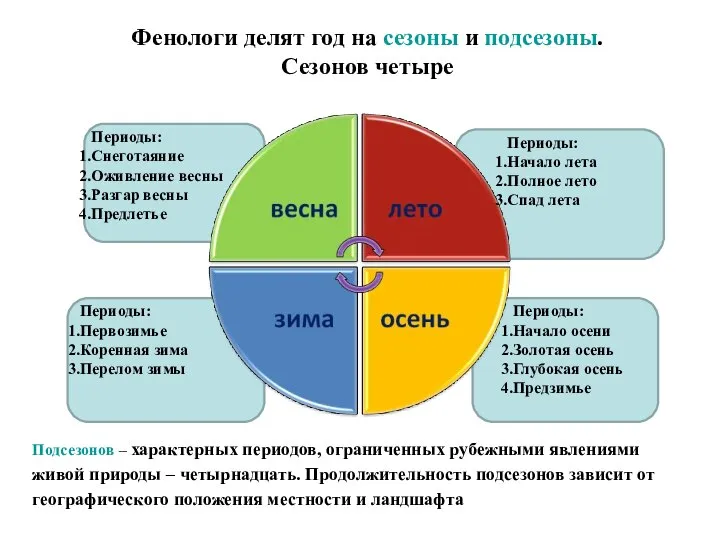 Фенологи делят год на сезоны и подсезоны. Сезонов четыре Подсезонов –