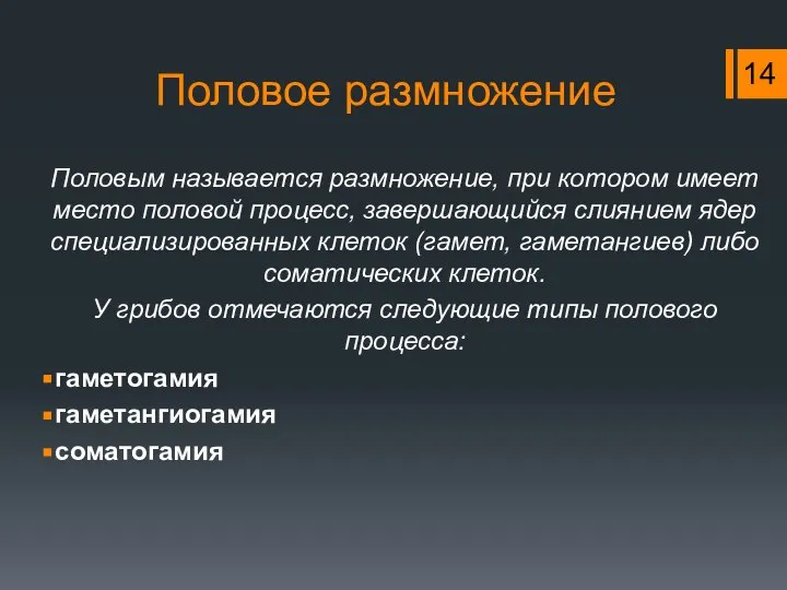 Половое размножение Половым называется размножение, при котором имеет место половой процесс,