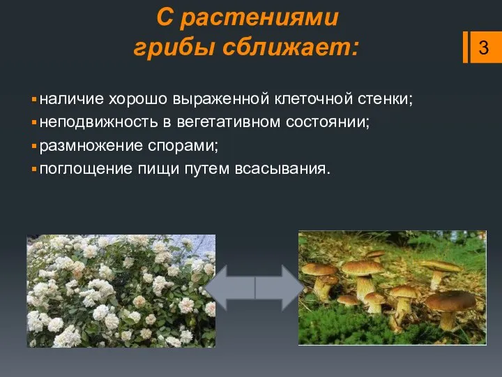 С растениями грибы сближает: наличие хорошо выраженной клеточной стенки; неподвижность в