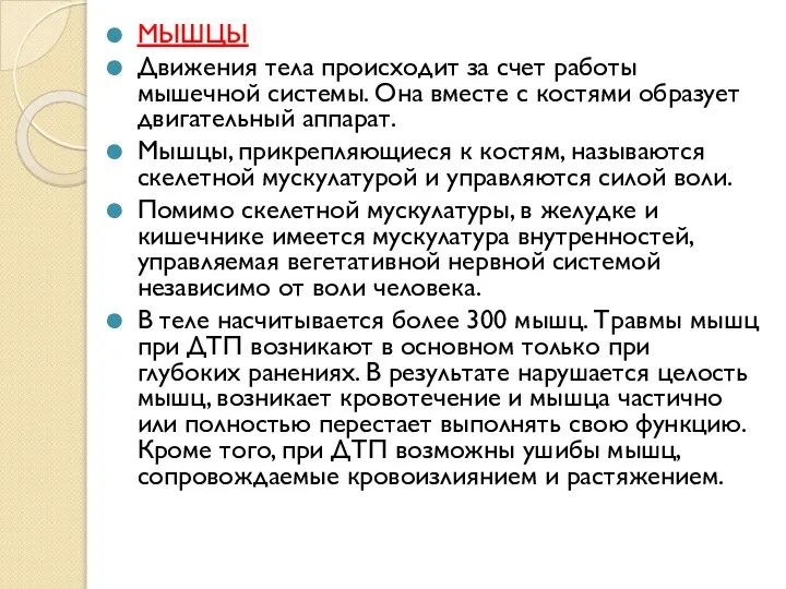 МЫШЦЫ Движения тела происходит за счет работы мышечной системы. Она вместе