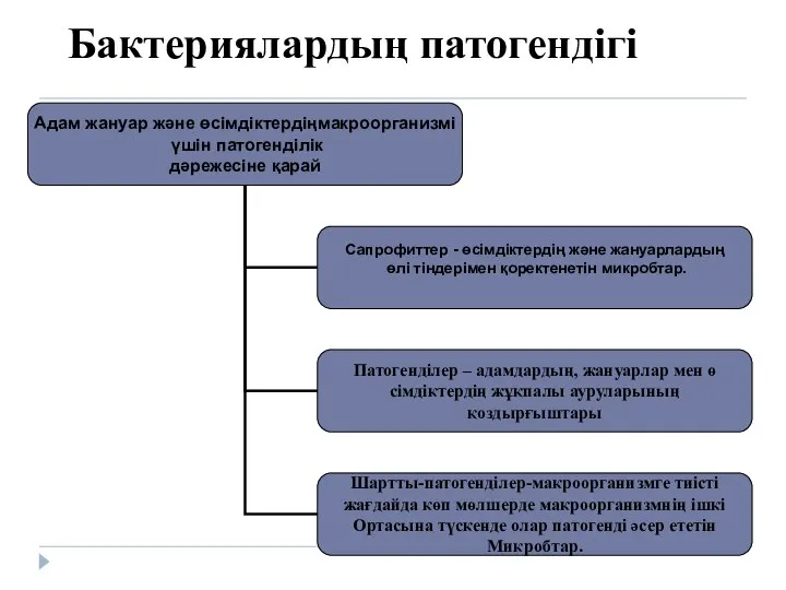 Бактериялардың патогендігі