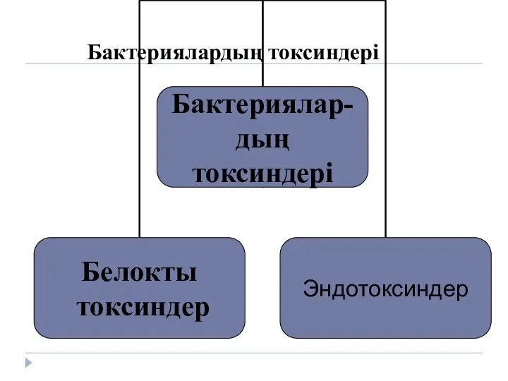 Бактериялардың токсиндері