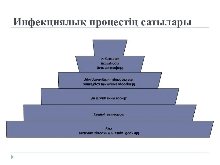 Инфекциялық процестің сатылары