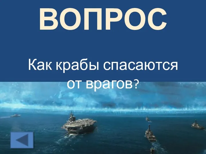 ВОПРОС Как крабы спасаются от врагов?