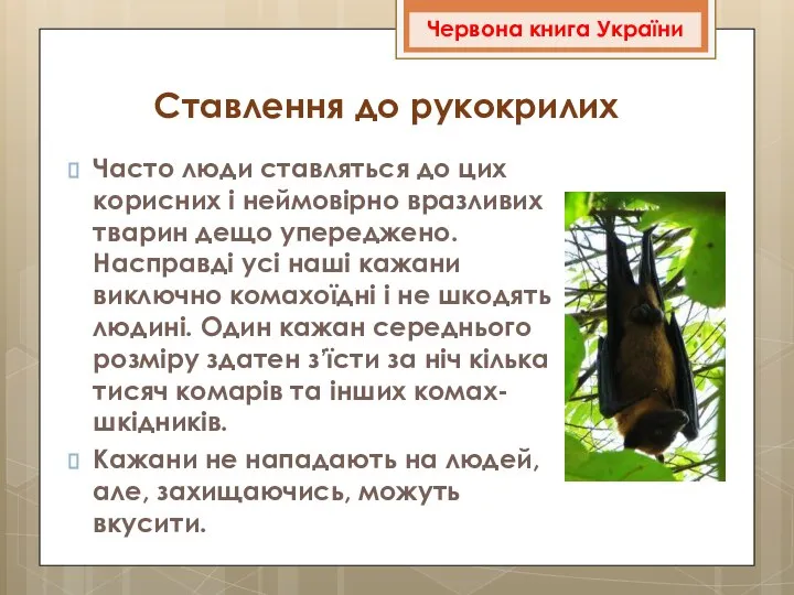 Часто люди ставляться до цих корисних і неймовірно вразливих тварин дещо