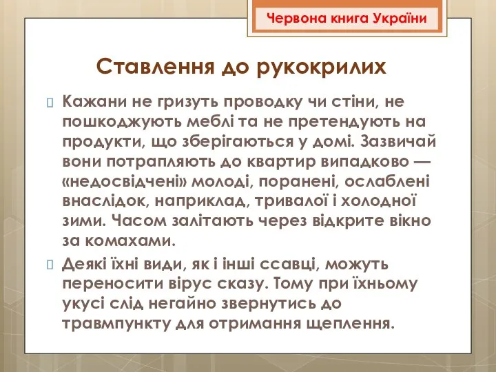 Кажани не гризуть проводку чи стіни, не пошкоджують меблі та не