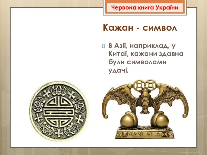 В Азії, наприклад, у Китаї, кажани здавна були символами удачі. Червона книга України Кажан - символ