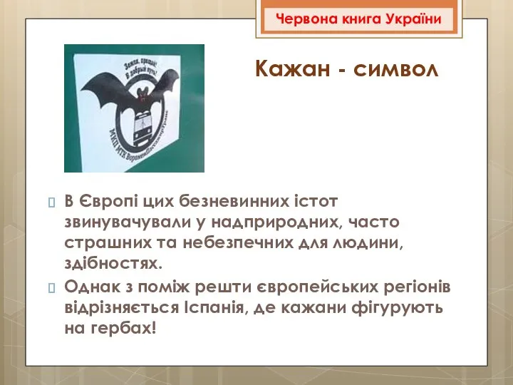 В Європі цих безневинних істот звинувачували у надприродних, часто страшних та