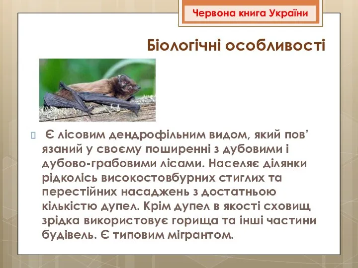 Є лісовим дендрофільним видом, який пов’язаний у своєму поширенні з дубовими