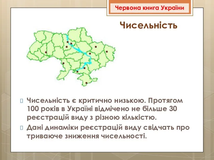 Чисельність Чисельність є критично низькою. Протягом 100 років в Україні відмічено