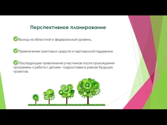 Перспективное планирование Выход на областной и федеральный уровень. Привлечение грантовых средств