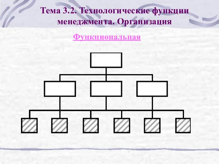 Тема 3.2. Технологические функции менеджмента. Организация Функциональная