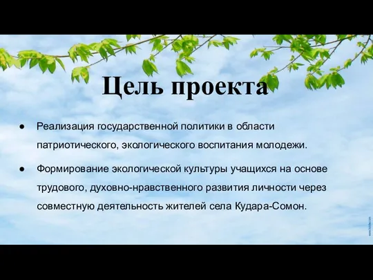 Цель проекта Реализация государственной политики в области патриотического, экологического воспитания молодежи.