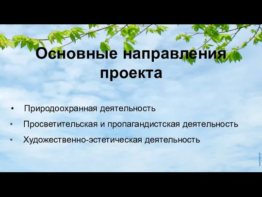 Основные направления проекта Природоохранная деятельность Просветительская и пропагандистская деятельность Художественно-эстетическая деятельность