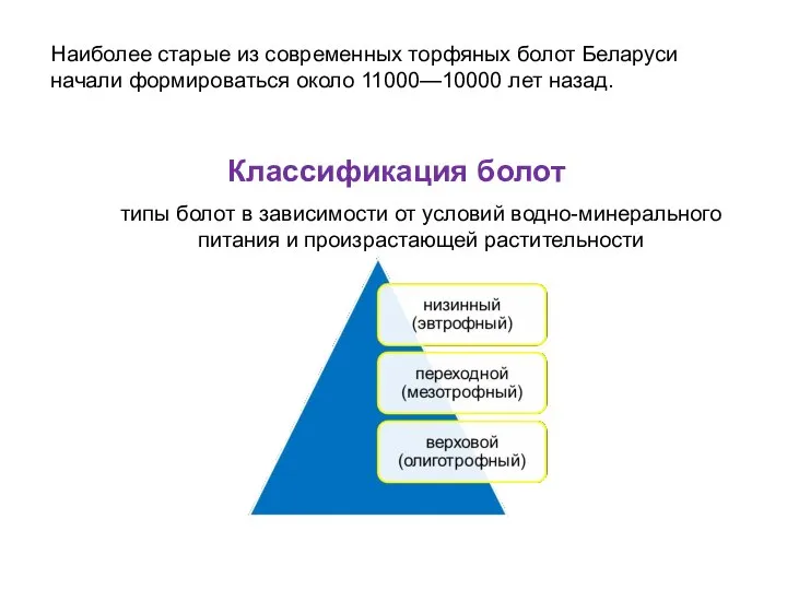 Наиболее старые из современных торфяных болот Беларуси начали формироваться около 11000—10000