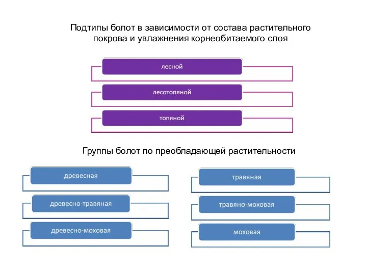 Подтипы болот в зависимости от состава растительного покрова и увлажнения корнеобитаемого