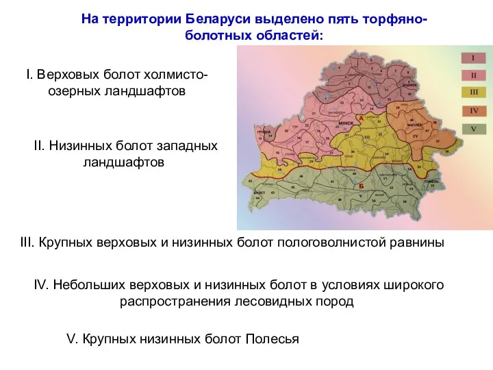 На территории Беларуси выделено пять торфяно-болотных областей: I. Верховых болот холмисто-озерных