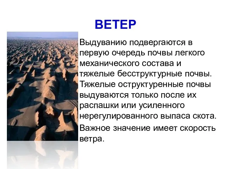 ВЕТЕР Выдуванию подвергаются в первую очередь почвы легкого механического состава и