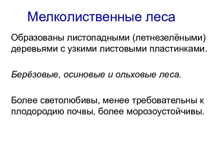 Мелколиственные леса Образованы листопадными (летнезелёными) деревьями с узкими листовыми пластинками. Берёзовые,