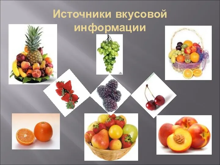 Источники вкусовой информации