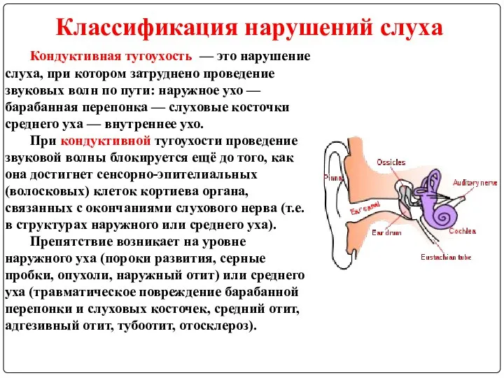 Классификация нарушений слуха Кондуктивная тугоухость — это нарушение слуха, при котором