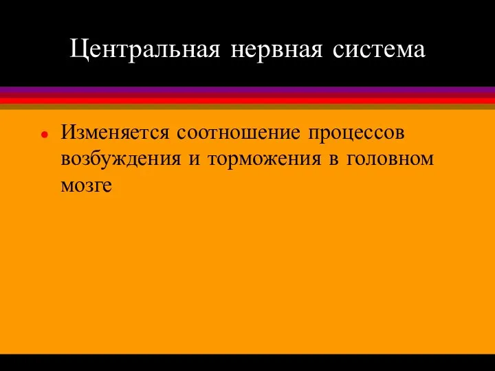 Центральная нервная система Изменяется соотношение процессов возбуждения и торможения в головном мозге