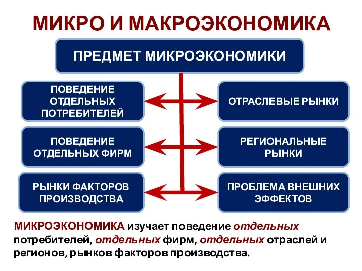 МИКРО И МАКРОЭКОНОМИКА ПРЕДМЕТ МИКРОЭКОНОМИКИ ПОВЕДЕНИЕ ОТДЕЛЬНЫХ ПОТРЕБИТЕЛЕЙ ПОВЕДЕНИЕ ОТДЕЛЬНЫХ ФИРМ