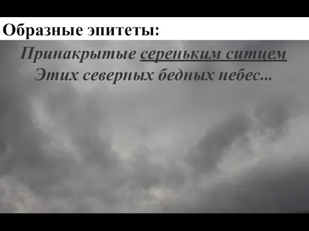 Образные эпитеты: Принакрытые сереньким ситцем Этих северных бедных небес...