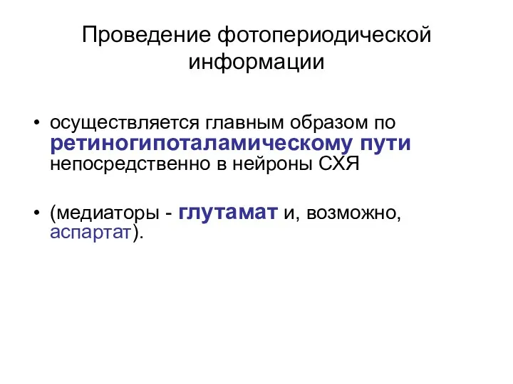 осуществляется главным образом по ретиногипоталамическому пути непосредственно в нейроны СХЯ (медиаторы