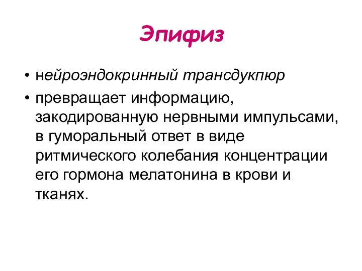 Эпифиз нейроэндокринный трансдукпюр превращает информацию, закодированную нервными импульсами, в гуморальный ответ