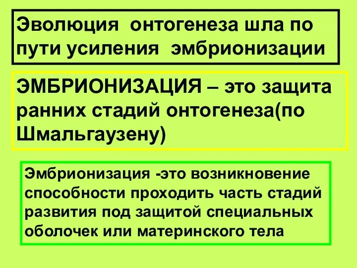 Эволюция онтогенеза шла по пути усиления эмбрионизации ЭМБРИОНИЗАЦИЯ – это защита