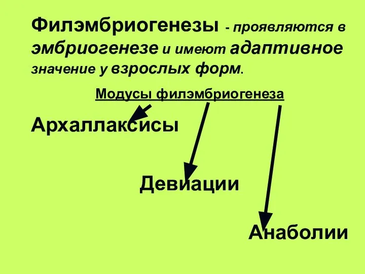 Филэмбриогенезы - проявляются в эмбриогенезе и имеют адаптивное значение у взрослых