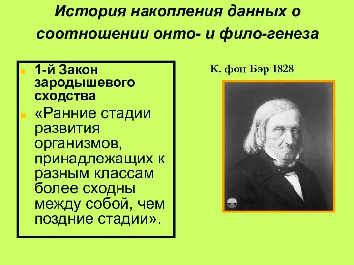 1-й Закон зародышевого сходства «Ранние стадии развития организмов, принадлежащих к разным