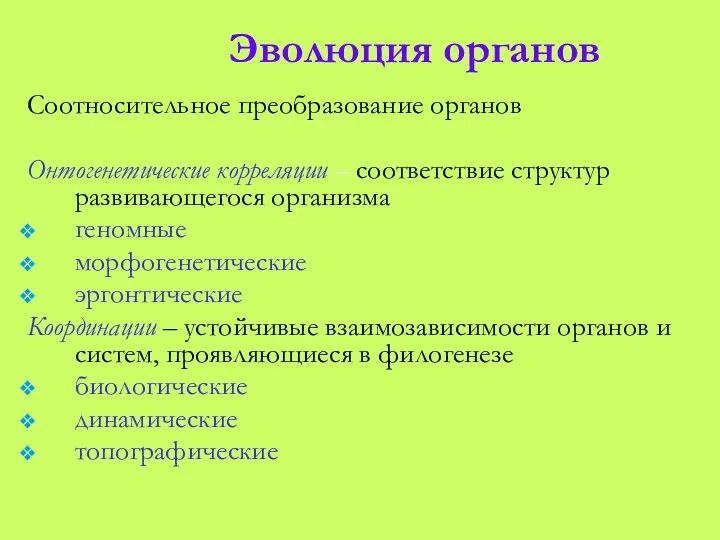 Эволюция органов Соотносительное преобразование органов Онтогенетические корреляции – соответствие структур развивающегося