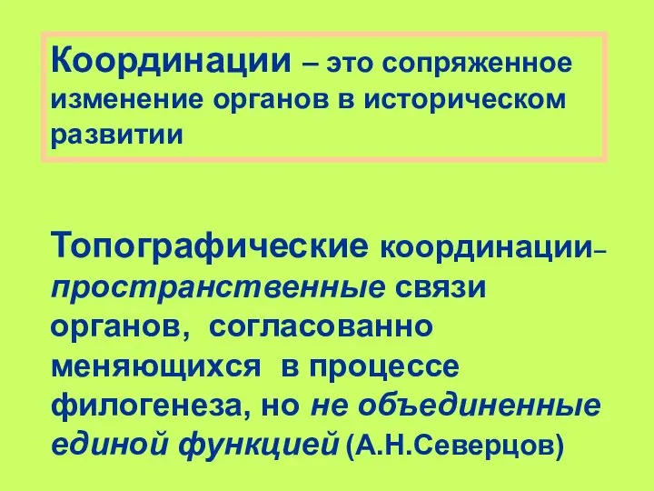 Координации – это сопряженное изменение органов в историческом развитии Топографические координации–