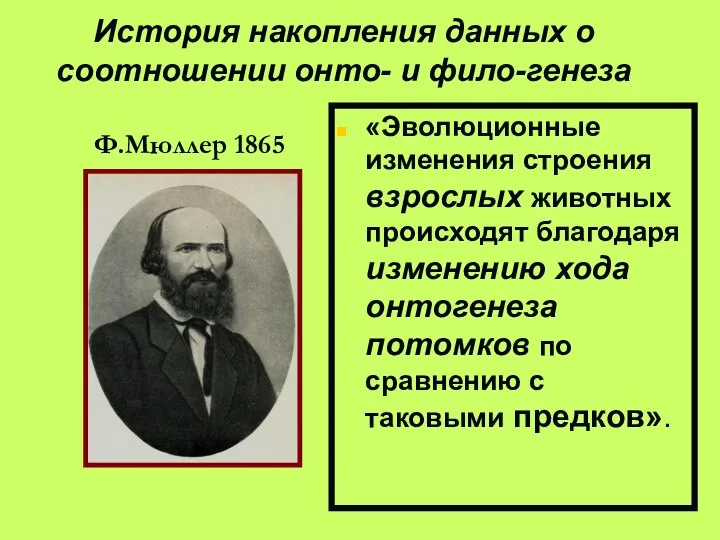 История накопления данных о соотношении онто- и фило-генеза Ф.Мюллер 1865 «Эволюционные