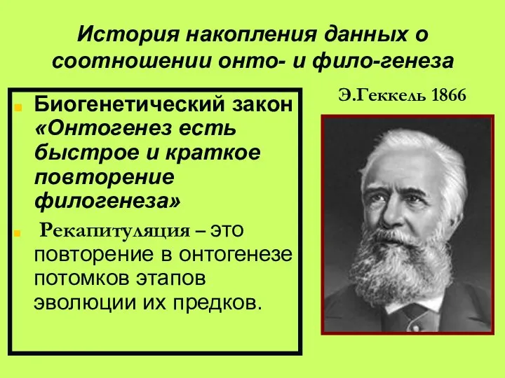 История накопления данных о соотношении онто- и фило-генеза Биогенетический закон «Онтогенез