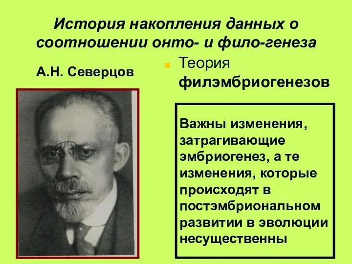 История накопления данных о соотношении онто- и фило-генеза А.Н. Северцов Теория